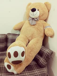 7,6,5,4.6,3.2, Feet American Chinese Australia Style teddy bear