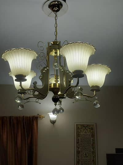 Beautiful light