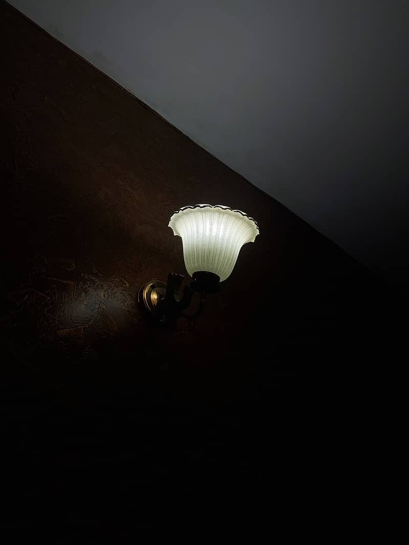 Beautiful light 5