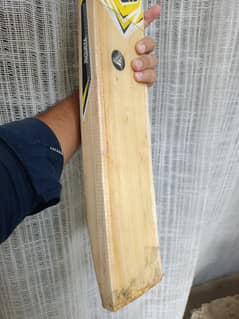Cricket bat english willow