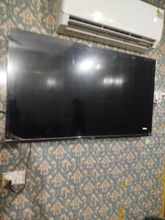 Haier