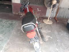 softe