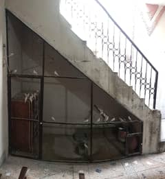 bird cage