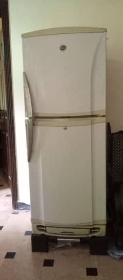 medium size refrigerator