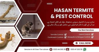 Dengue Spary/Termite Control/Deemak Control/Fumgation/Pest control Ser