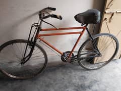 Cycle 24 inch