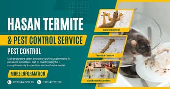 Termite Treatment | Bedbugs | Cockroach | Pest Control Services