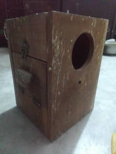 birds box