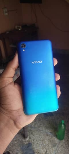 Vivo
