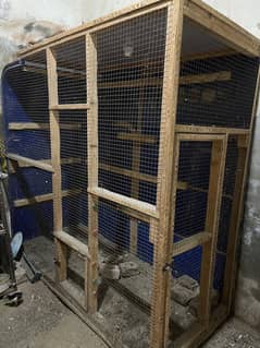 Cage best for birds