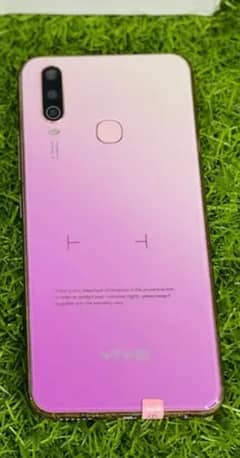 vivo