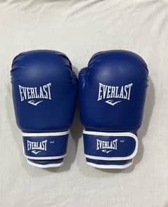 Everlast Boxing/MMA Kids Gloves (Imported)