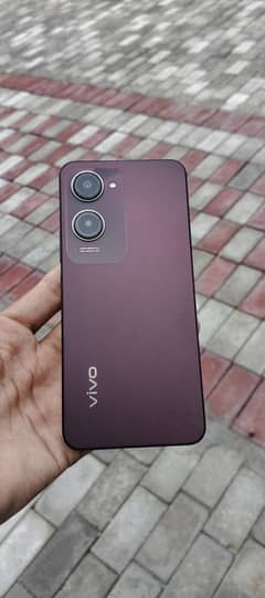 vivo