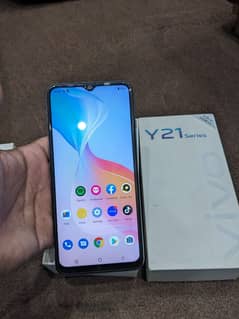 Vivo