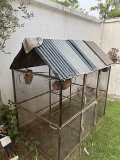 Bird Cage