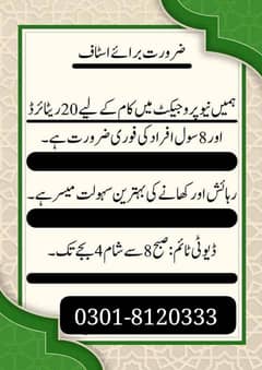 Office Job