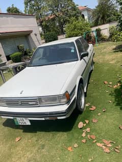 Toyota Carseeda