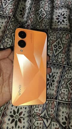 vivo