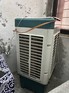 4 month used