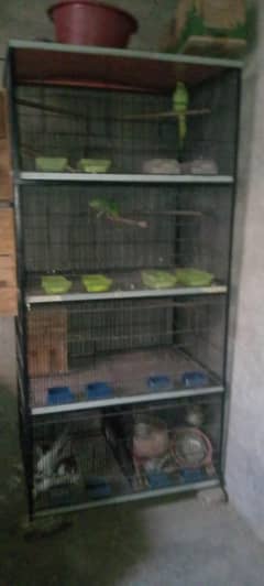 8 portion angel cage