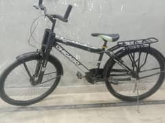Mountain bike cycle large size