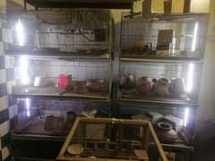Cages | Birds Cages | Pinjra | Hen Cage | Iron Cage | wooden cage