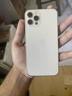12pro