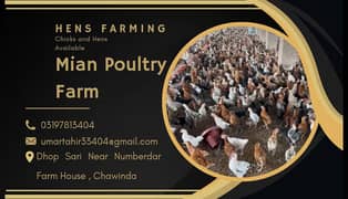 Fresh Desi Hens