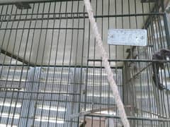cage for sale