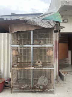 CAGE FOR BIRDS