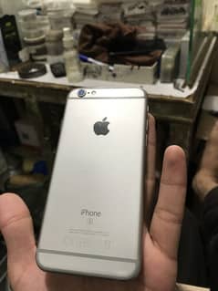 6s