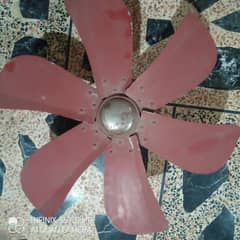 room cooler ki motor par aur papse
