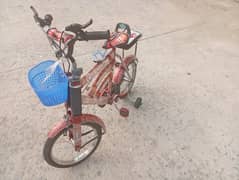 cycle for new