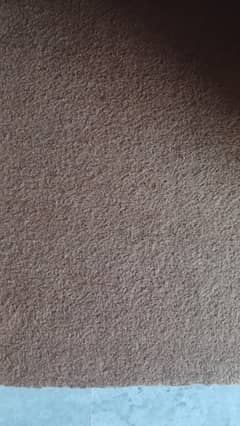 Room carpet for sale