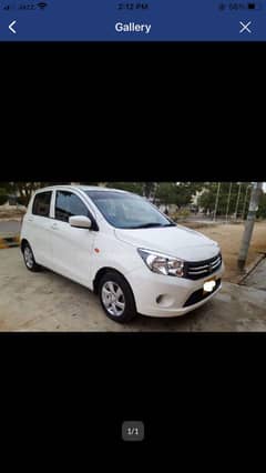 Suzuki cultus