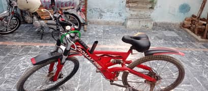 Roman bike