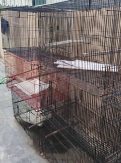 bird cages