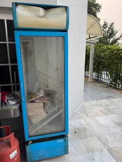 Chiller fridge