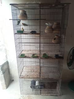 8 portion cage
