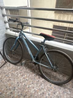 Sportex Bicycle