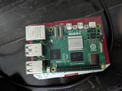Raspberry