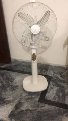 Royal fan