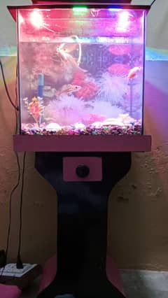 Full fish aquarium set
