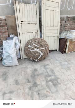 Balan for Sale
