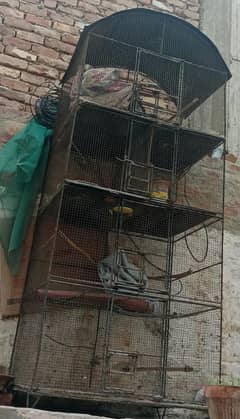 Cage