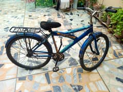 sports cycle for 10year to 20 years
