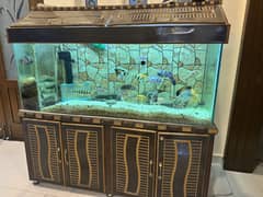 Fishes for sale