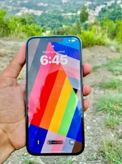 iPhone 13 pro max jv (non pta). 10/10