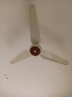 ceiling Fan