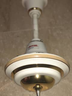 Royal ceiling Fans